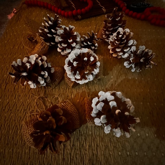 Handmade pine cones Christmas Ornaments - Picture 6 of 7